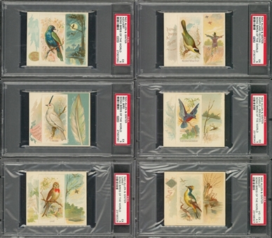 1887 N42 Allen & Ginter "Song Birds of The World" PSA-Graded Partial Set (34/50) 